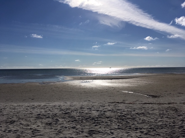 Kanaliseringer Anna Sofia Langå